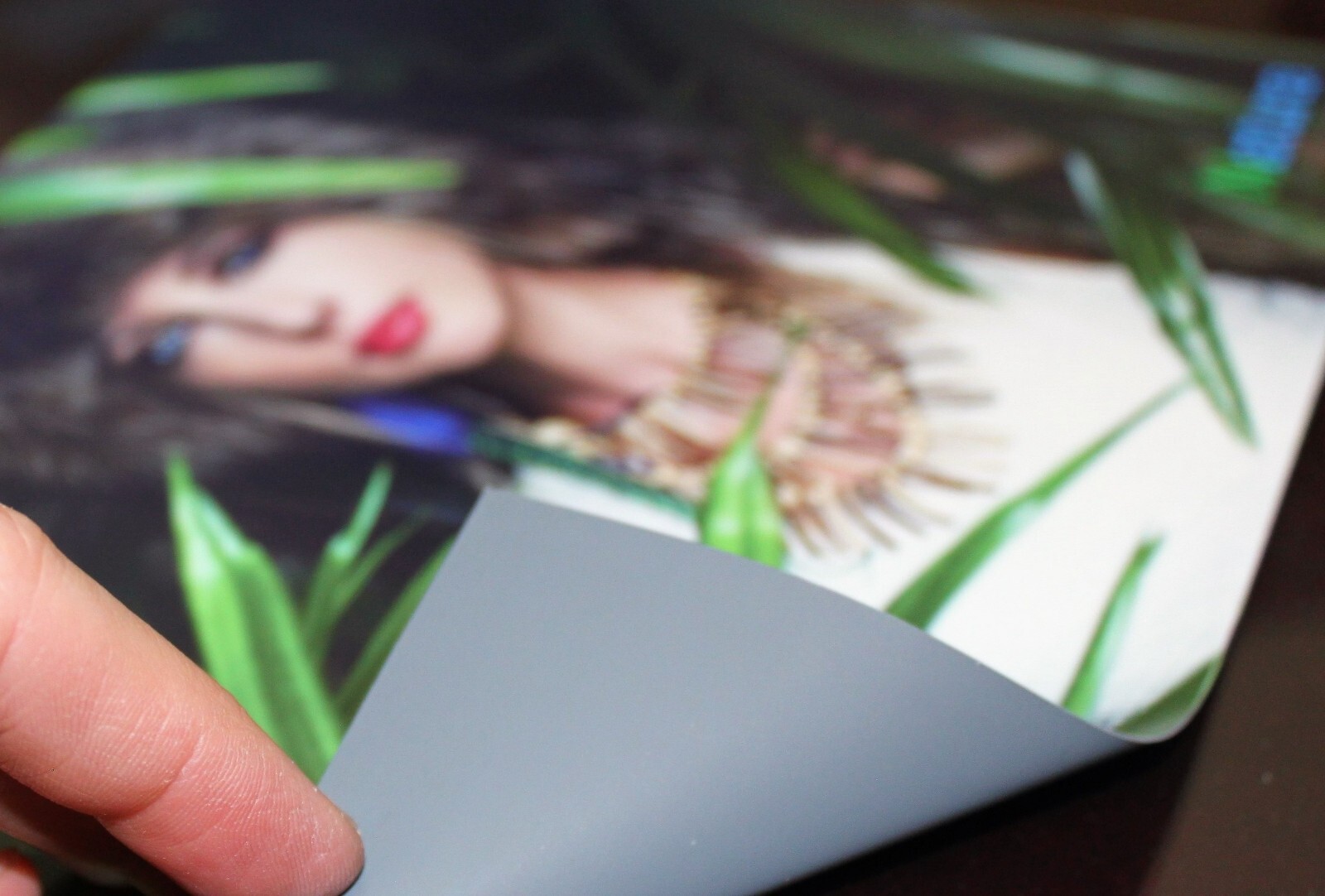 Anti-Curl Retractable Roll-Up Display Polypro PP Films & Fabrics Solvent Latex