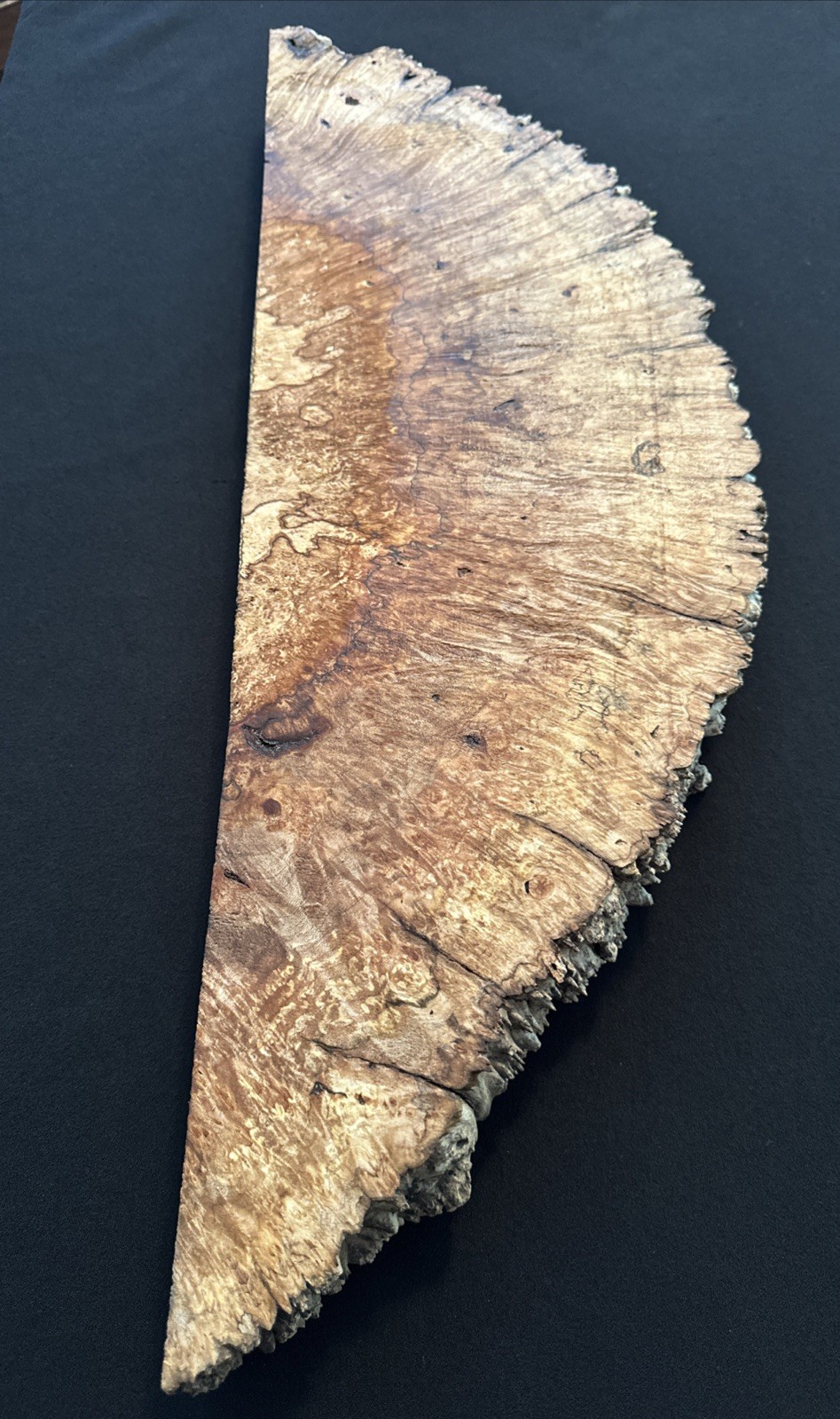 Spalted Maple Burl, Live Edge, 26” Long, 8 3/4” Wide, 2 3/16” Thick, Dry