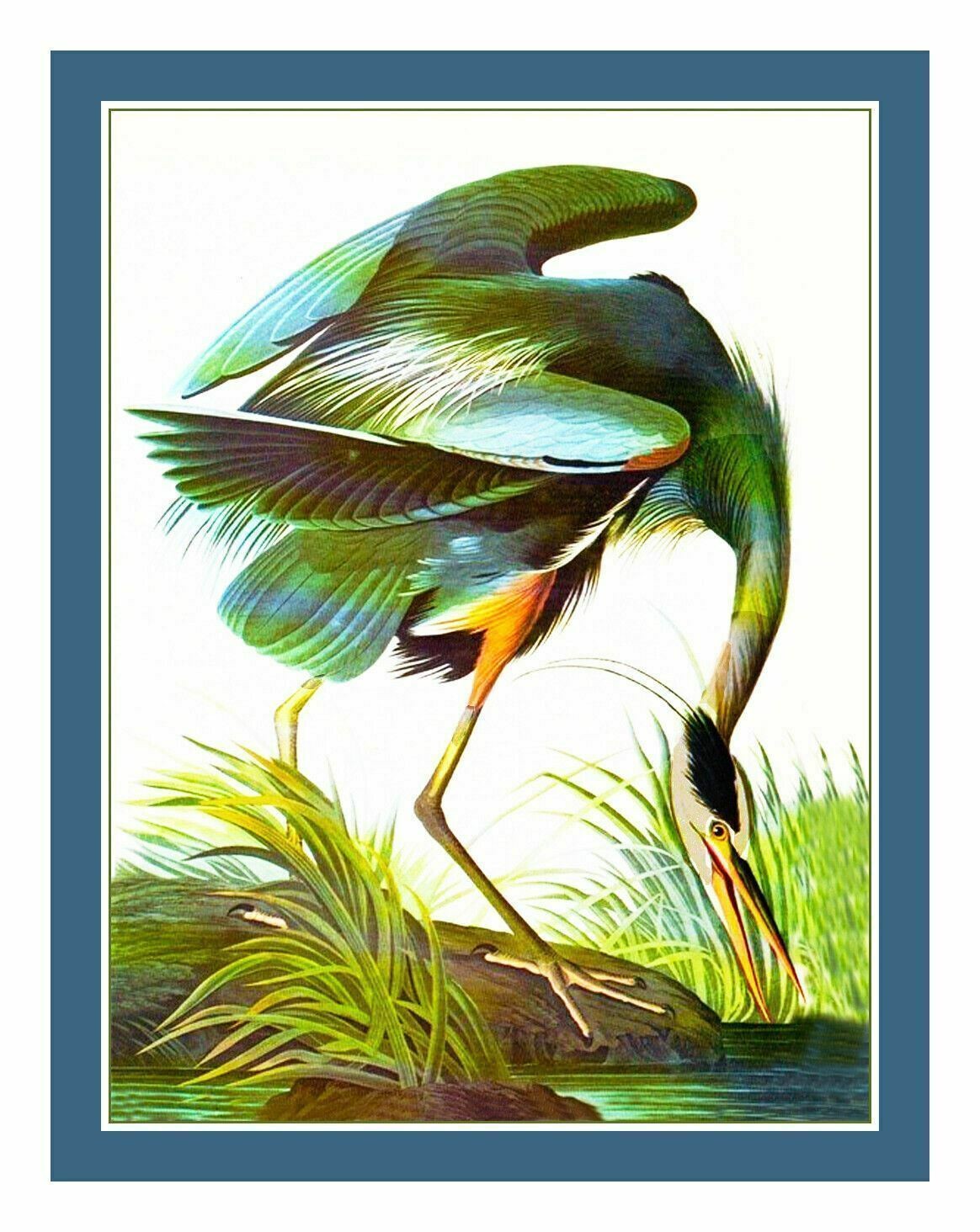 Naturalist Audubon Bird Blue Heron Counted Cross Stitch Chart Pattern