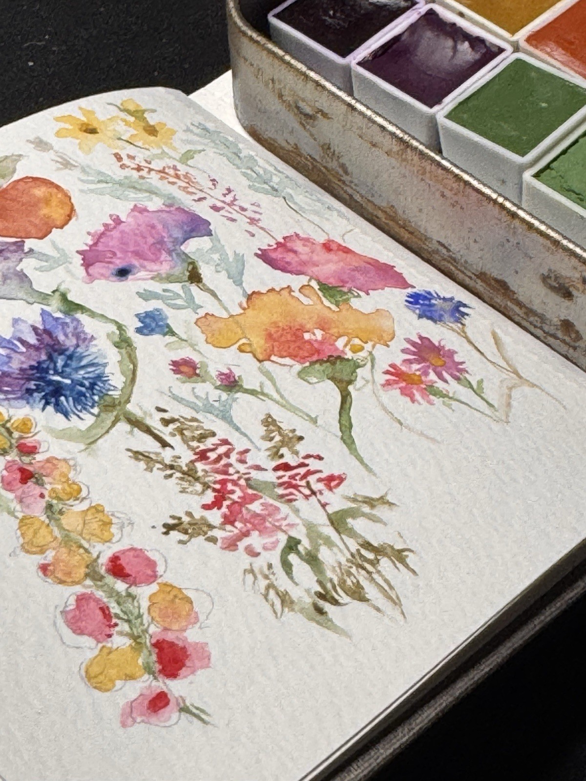 Woodland Flowers Pallet Handmade watercolors from earth pigments Edith Schmidt
