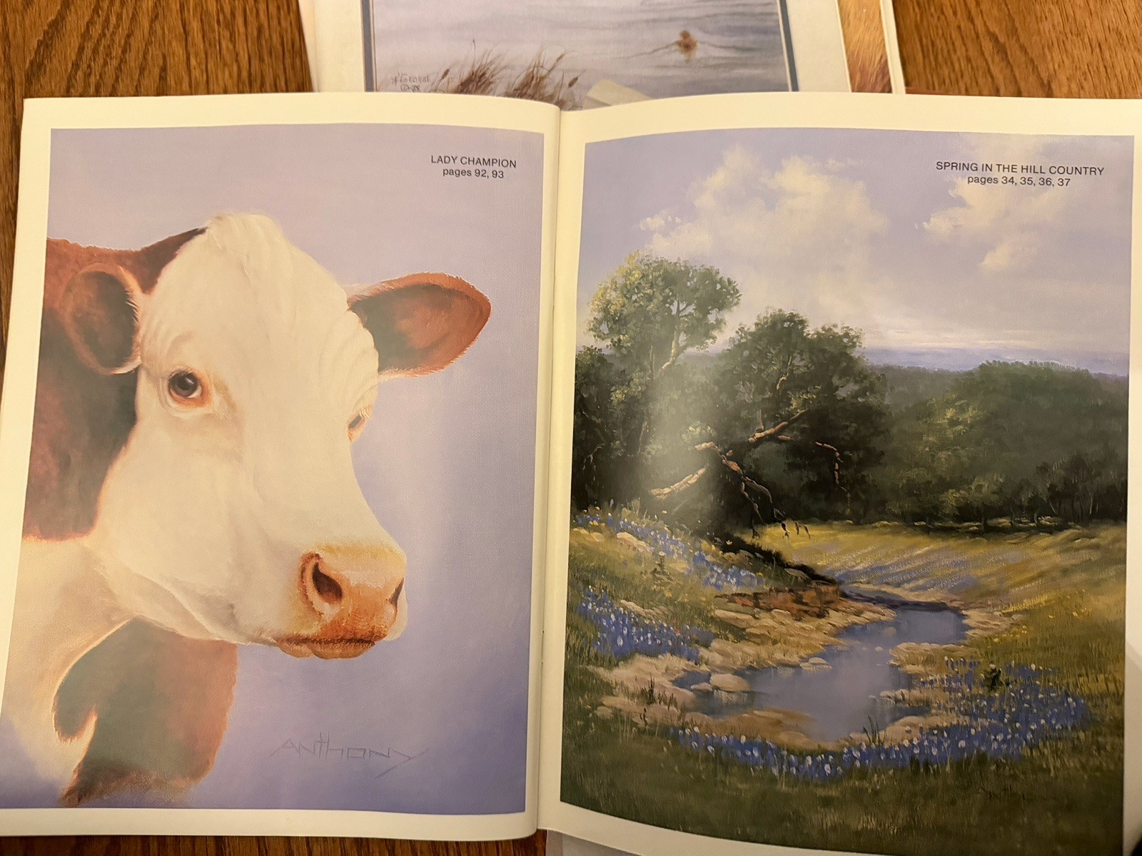 Susan Scheewe Presents Watercolor & Animal Painting Lot (8) 1983–1992