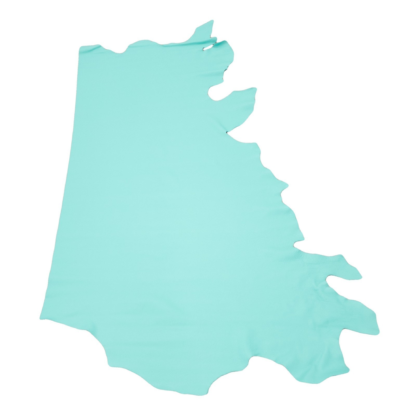 Turquoise Leather Cowhide Sides & Project 3–4 oz | Chrome | Handbag Fashion