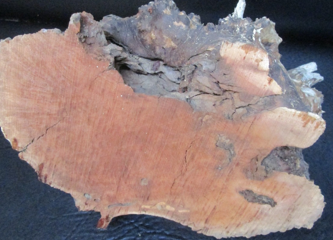 manzanita burl wood end cap #D548 9 1/2″ x 5 3/4″ x 3 1/2″
