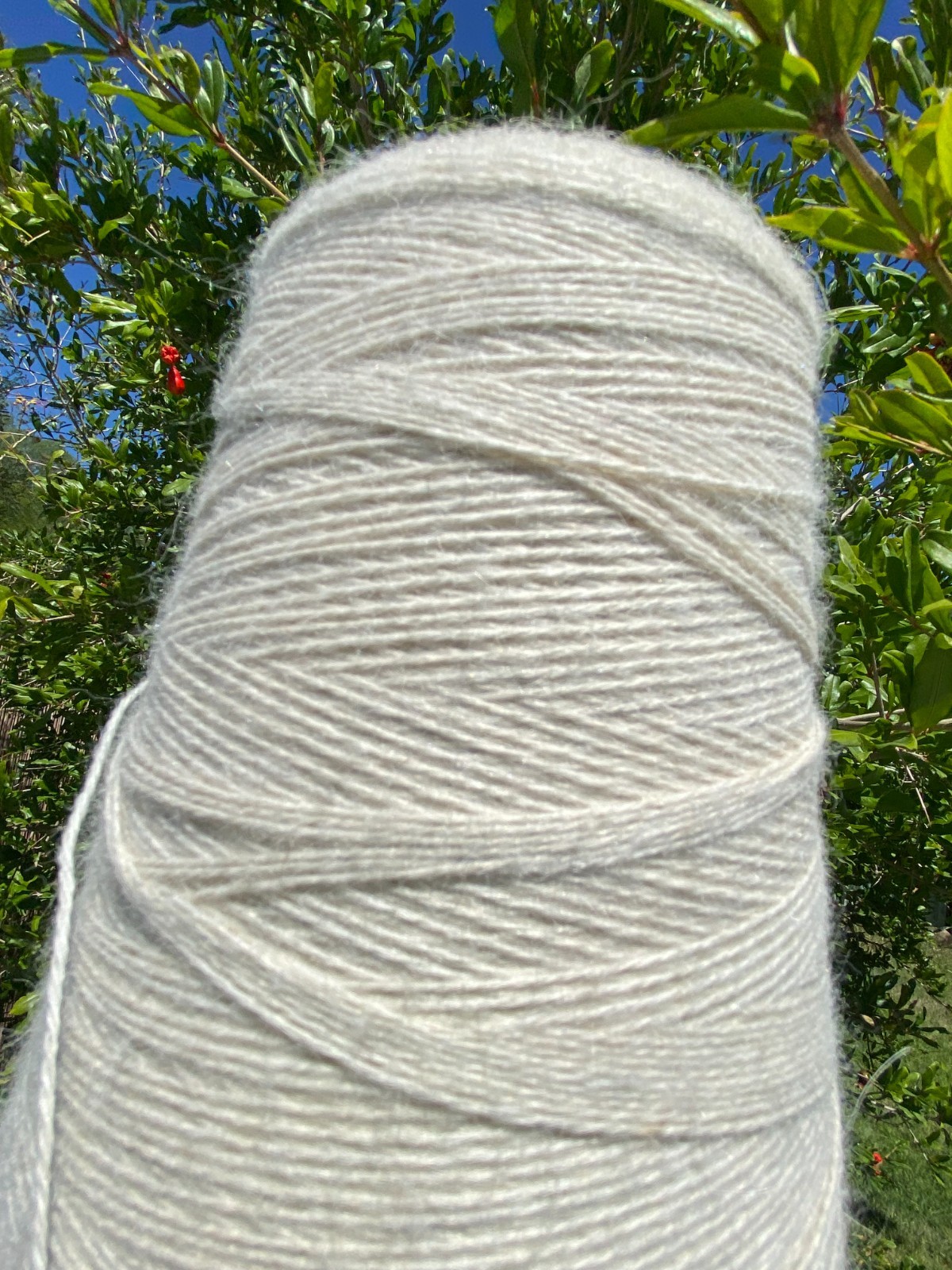 Large Cone of Inca Tops Baby Alpaca Yarn 3ply in Natural 525 gram