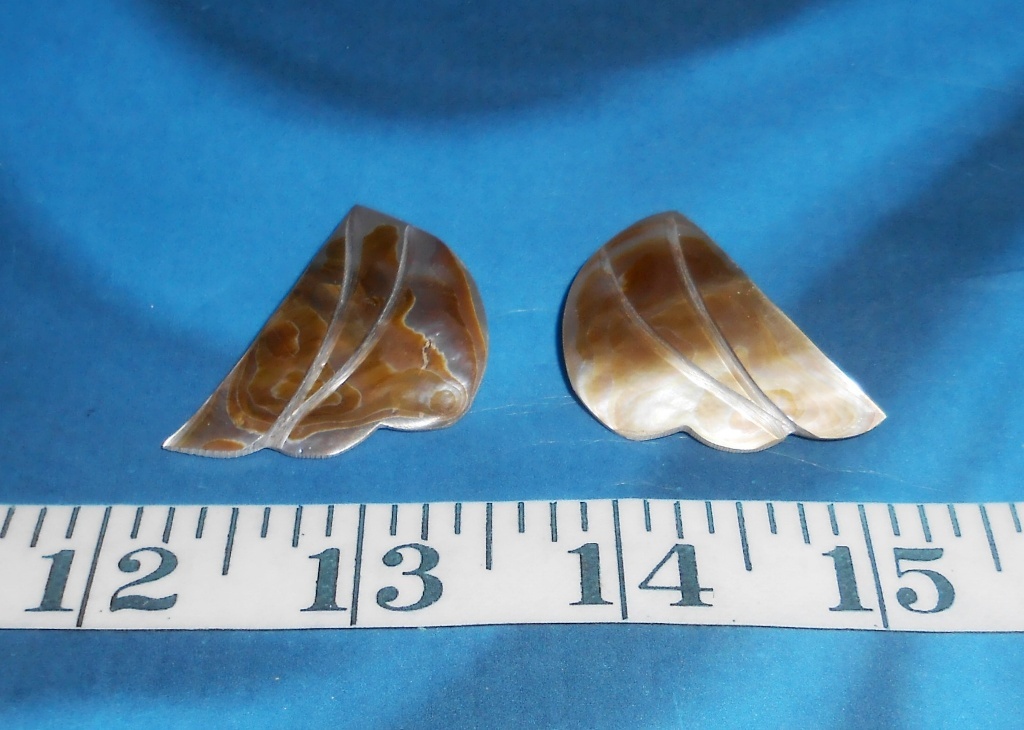 ~ Mother-of-Pearl (Black-Lip MOP) Shell Pieces ~ Polished ~ Natural Taupe/Ivory~