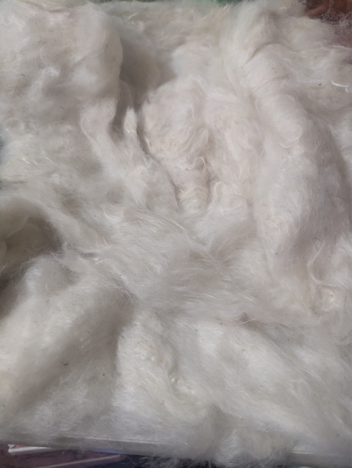 5 oz amazing soft roving angora bunny, alpaca cria blended FREE USA SHIP