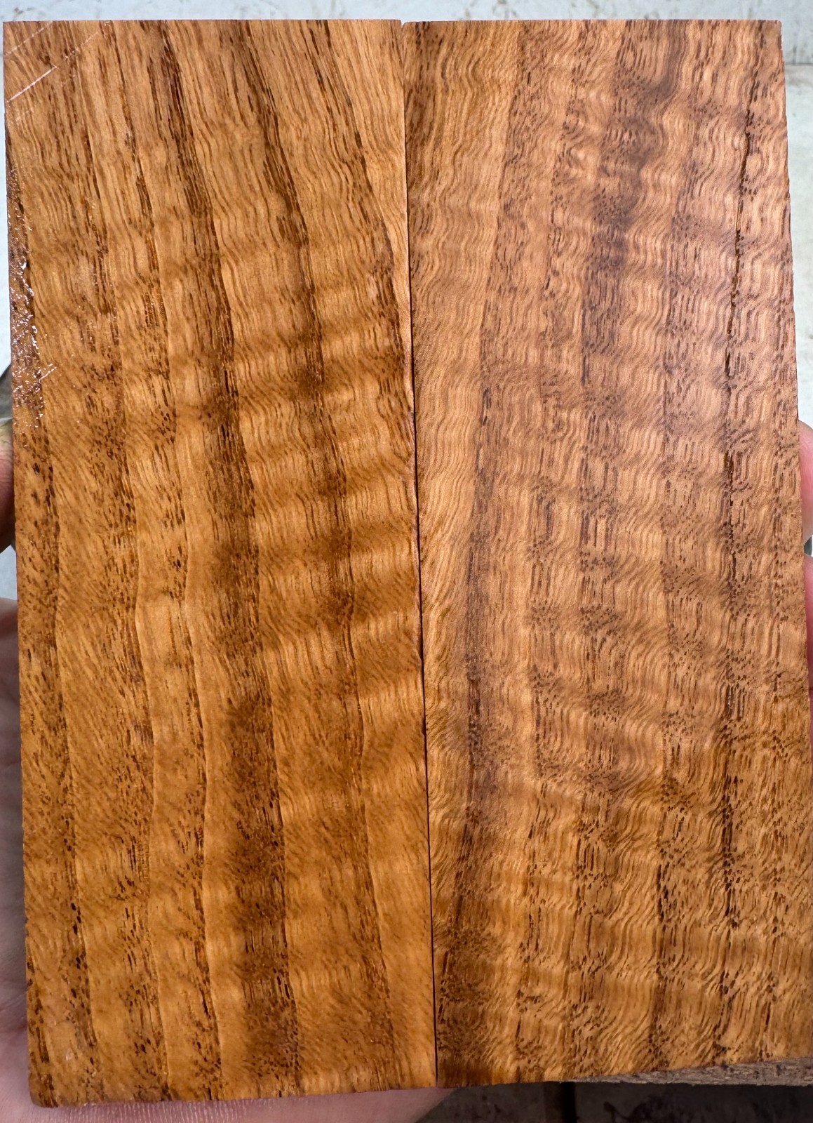 Stabilized American Chestnut Knife Scales | SAC 436
