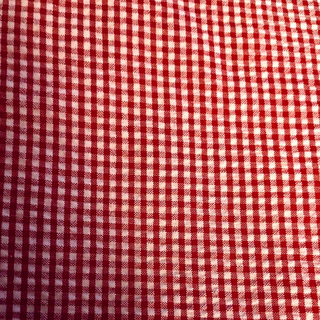 VTG Red & White Gingham Checks Seersucker Pucker Cotton 22″x21″