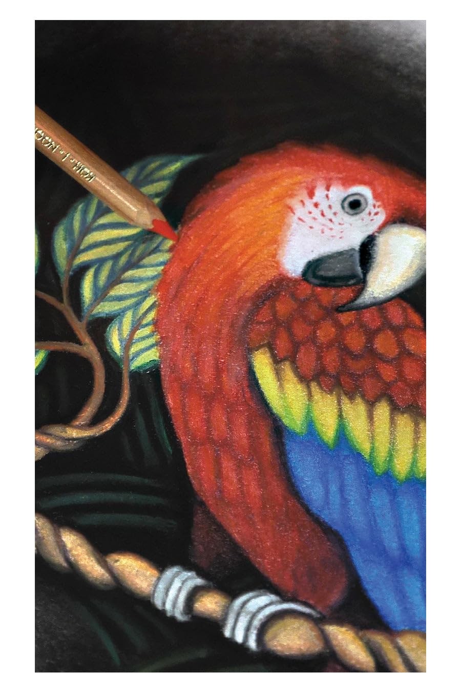 KOHINOOR 3828 Artists Coloured Pencils Set Professional Drawing Art 144 PCS
