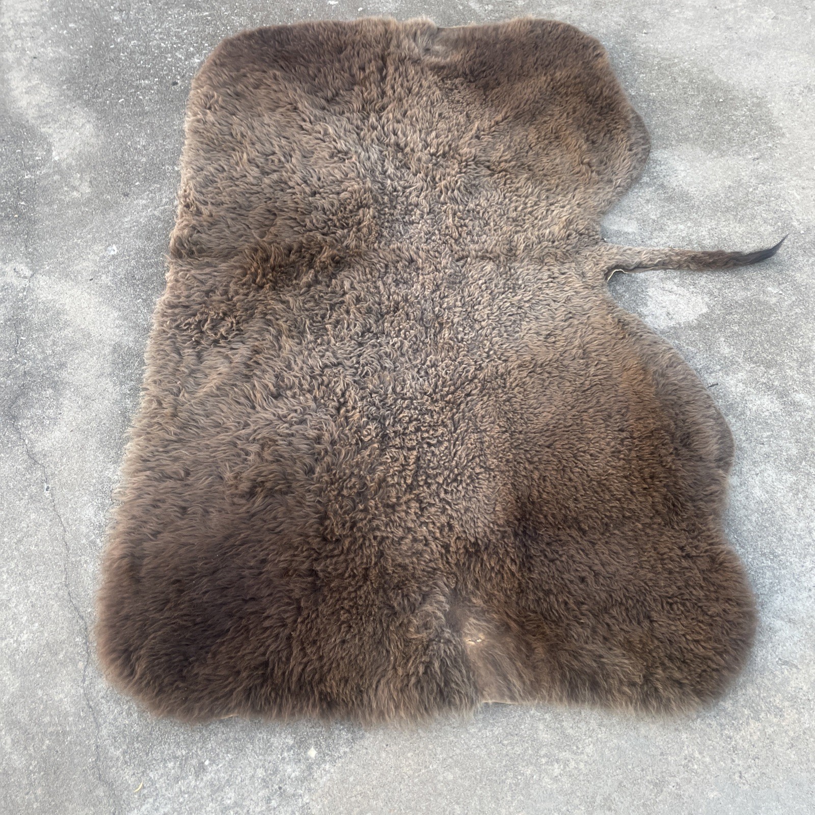 Bison Buffalo Tanned leather Back Hide Brown Fur Robe Rug Tapestry 81”X48”