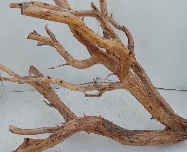 Manzanita Driftwood -We Have It All From Our NorCal Yuba River Private Access