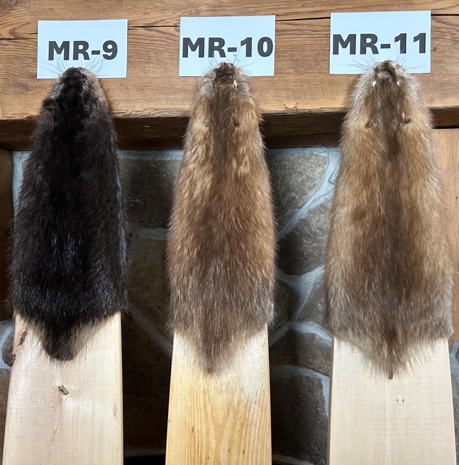 LG Muskrat Pelt, Commercial Garment Tanned