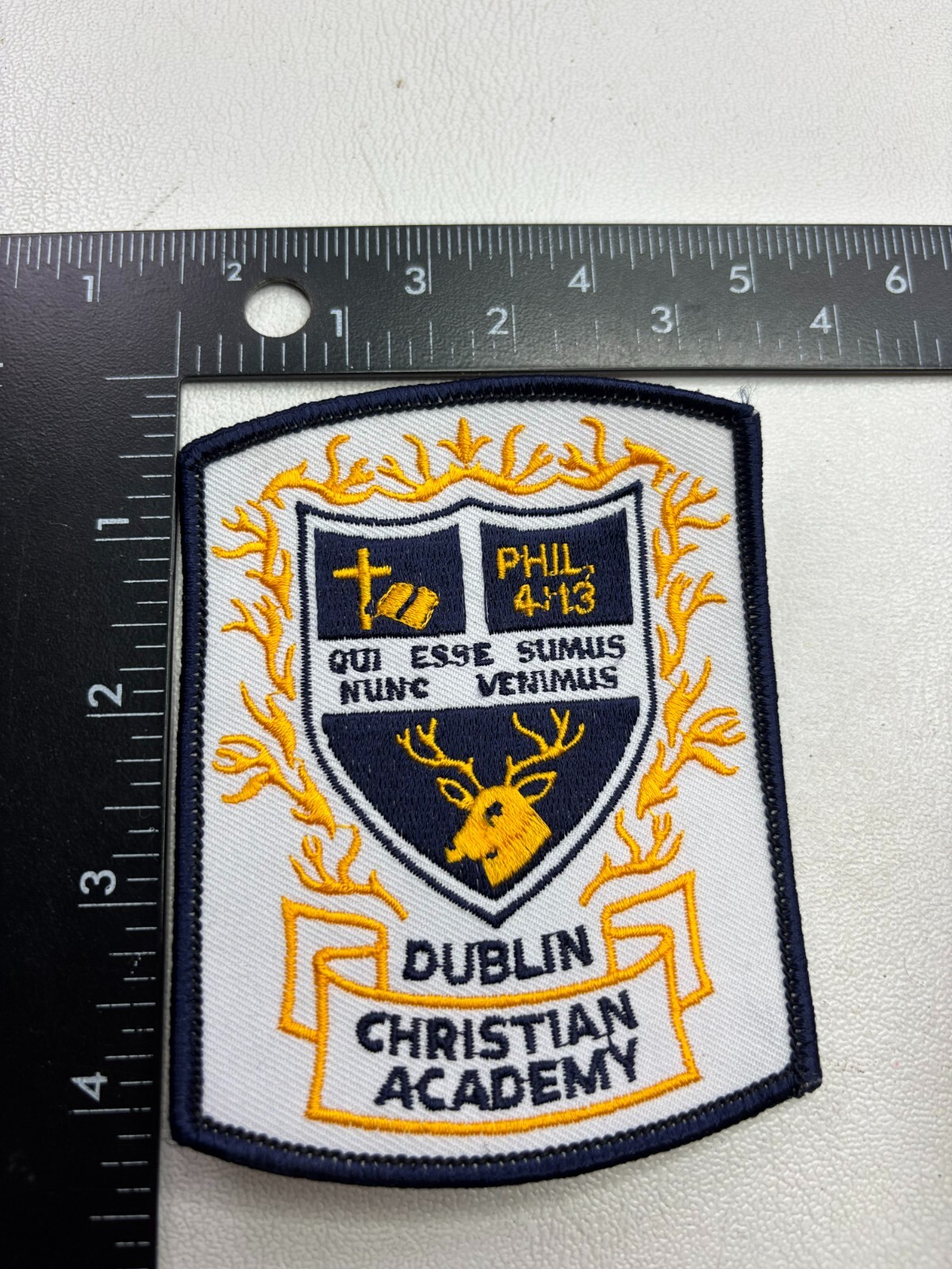BIBLE VERSE PHILIPPIANS 4:13 Ireland DUBLIN CHRISTIAN ACADEMY School Patch 57MZ