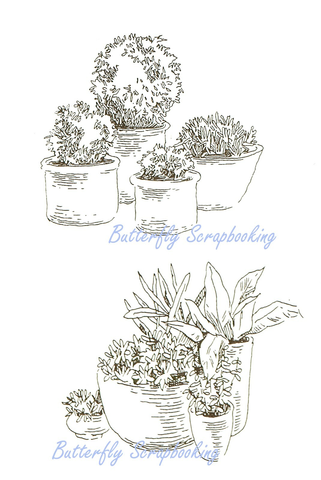 Potted Plants & Flowers Clear Unmounted Rubber Stamp Nellie’s Choice IFS003 New