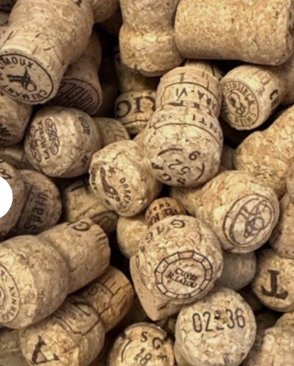 50 Assorted CHAMPAGNE CORKS High Quality, Great Variety, Great for Crafting!