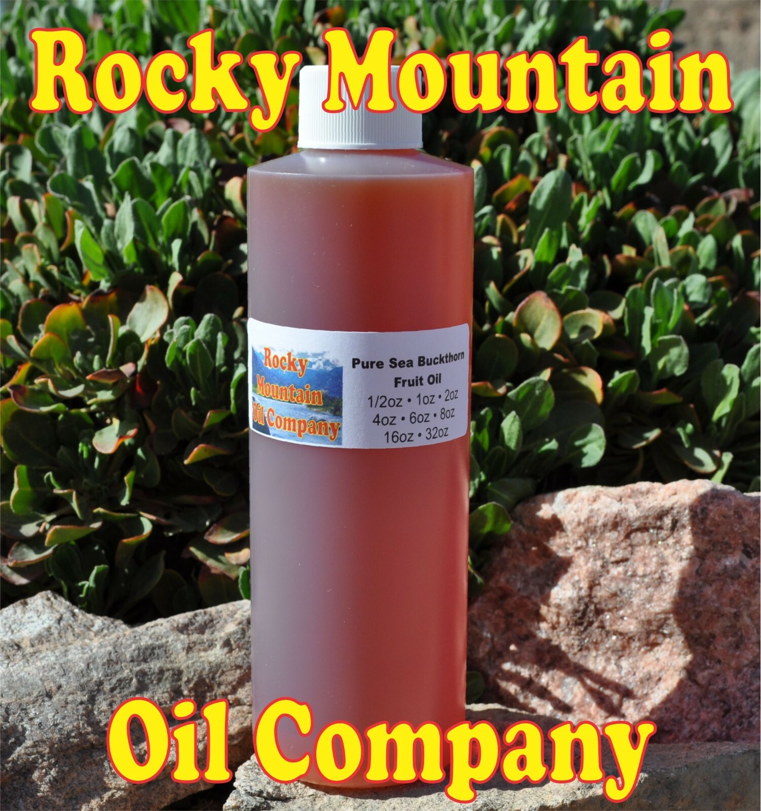 ORGANIC VIRGIN SEA BUCKTHORN FRUIT BERRY OIL ALL NATURAL 2 4 6 8 16 32 oz