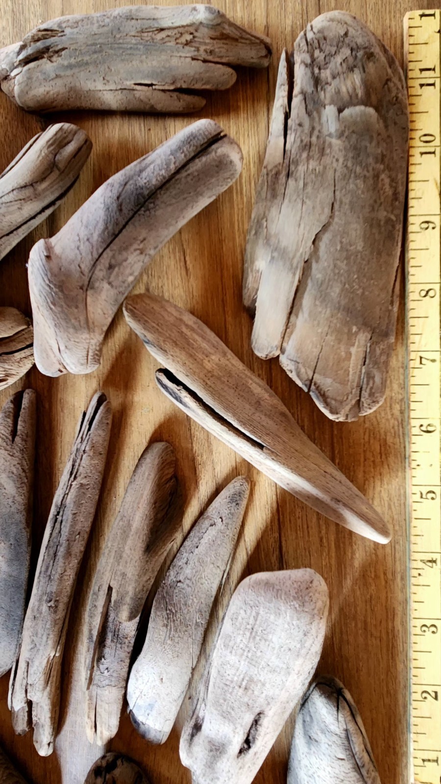 35 Small to Medium Beautiful Lake Superior Driftwood for Creative Projects