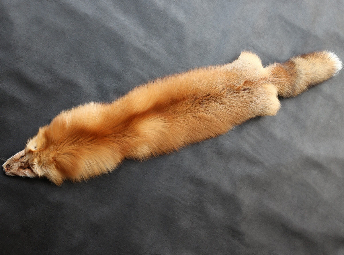 1 Piece Tanned Natural Real Red Fox Skin Fly Tying Crafts Pelt Hides 40-42 Inch