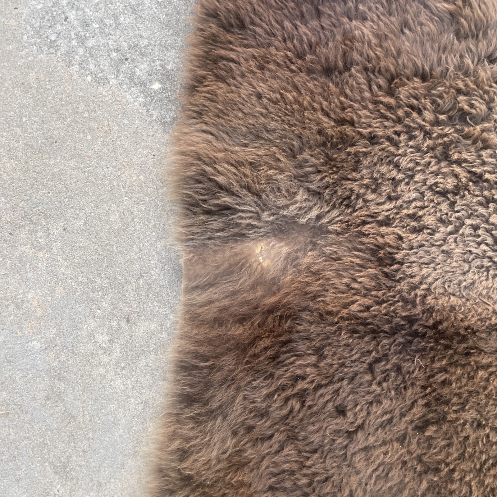 Bison Buffalo Tanned leather Back Hide Brown Fur Robe Rug Tapestry 81”X48”