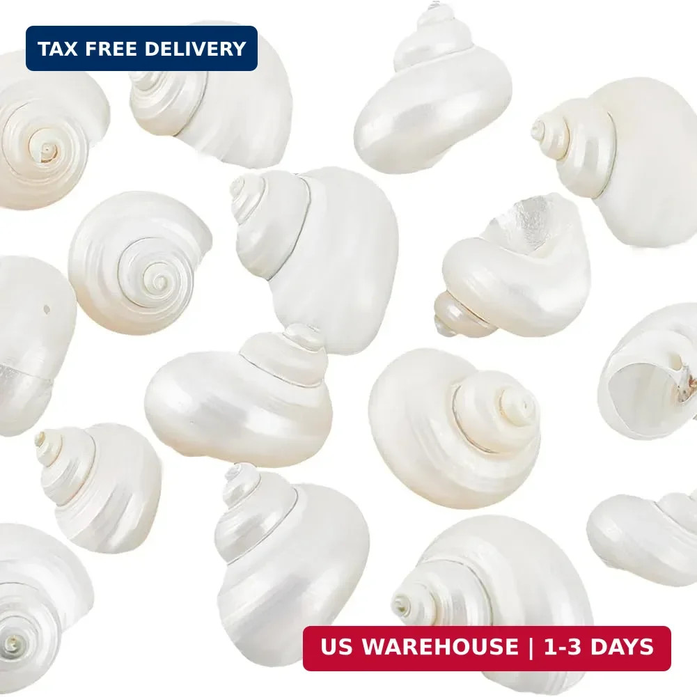 PH PandaHall 16pcs Natural Spiral Shell Beads, 0.8~1.1 Inch Mouth Turbo Seashell
