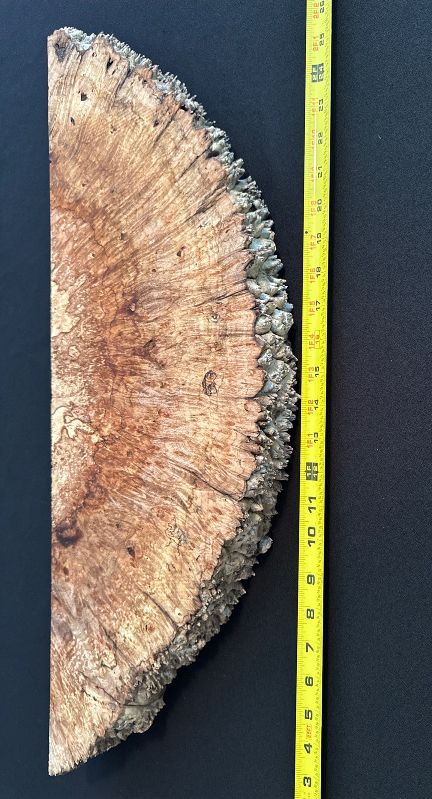 Spalted Maple Burl, Live Edge, 26” Long, 8 3/4” Wide, 2 3/16” Thick, Dry