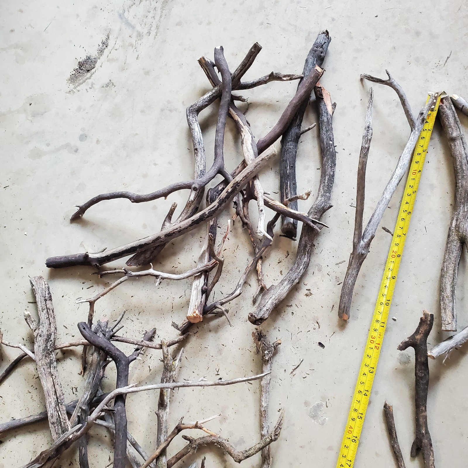 36 assorted thin seasoned Manzanita branches box #3