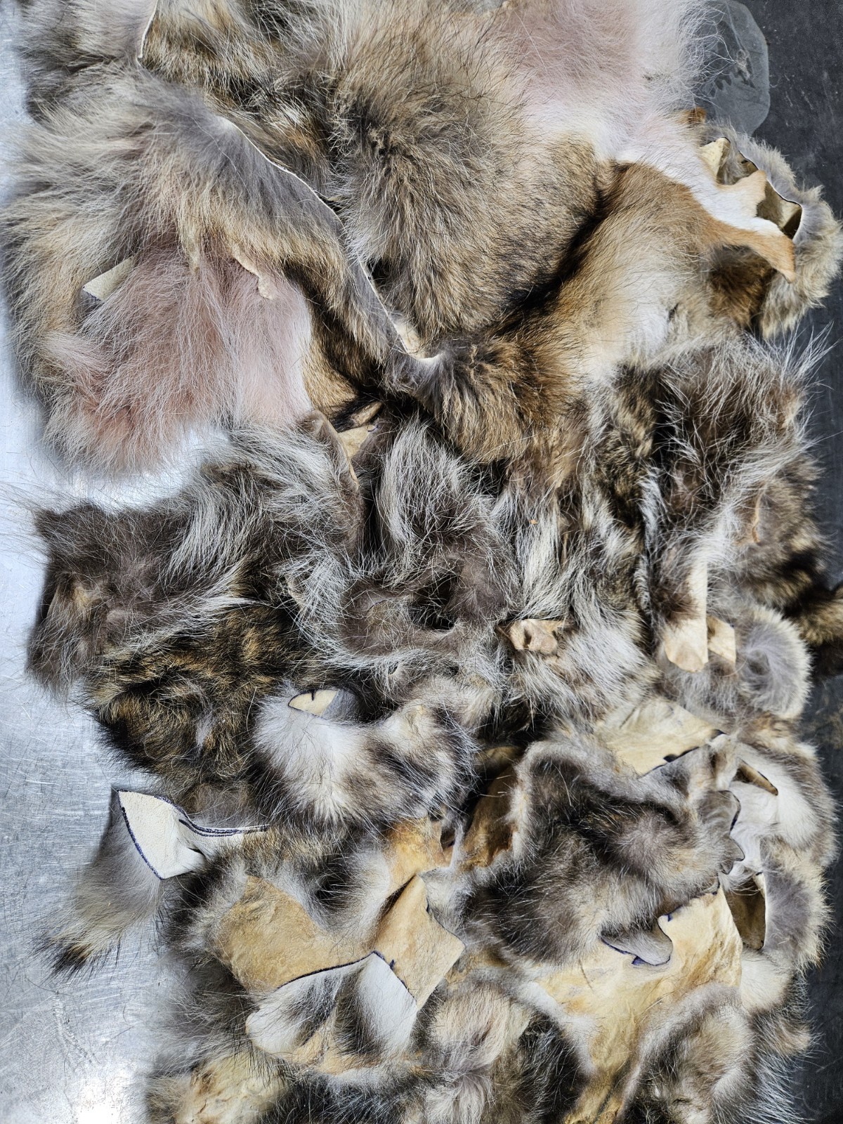 2 lbs of Fur Scrap Raccoon, coyote, opossum Craft fly tieing, tanned fur