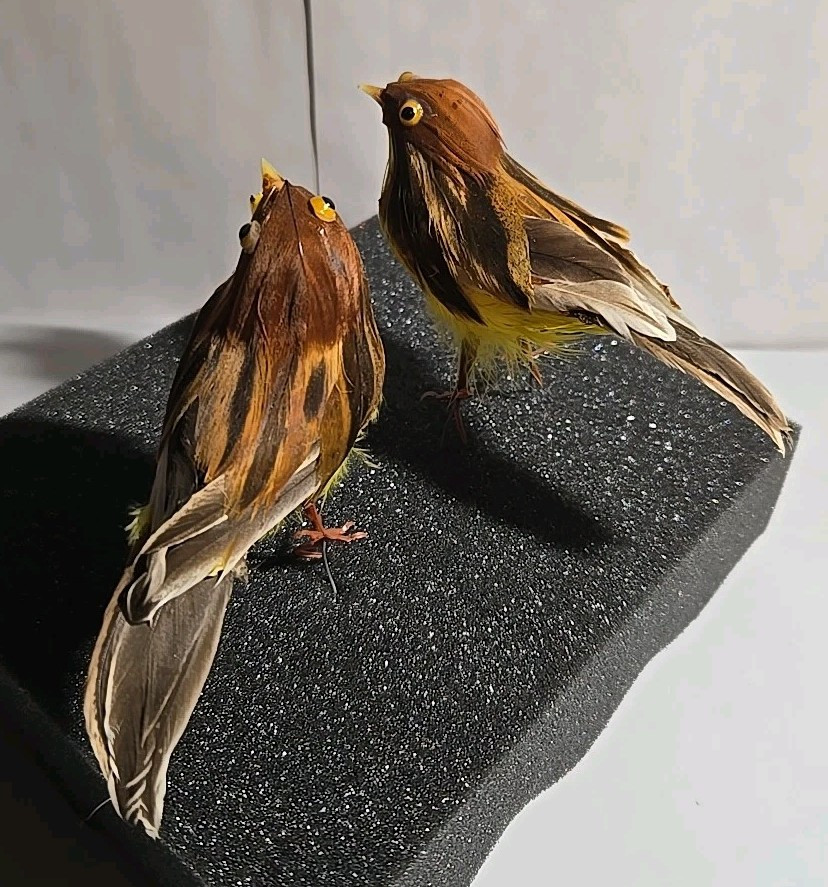 Home Decor Vintage Real Feather Birds Styrofoam Song Birds Arts And Crafts