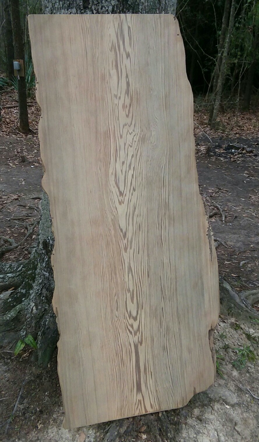 RETURNS ACCEPTED Carbon Dated Old Growth Sinker Cypress Slab Countertop TableTop