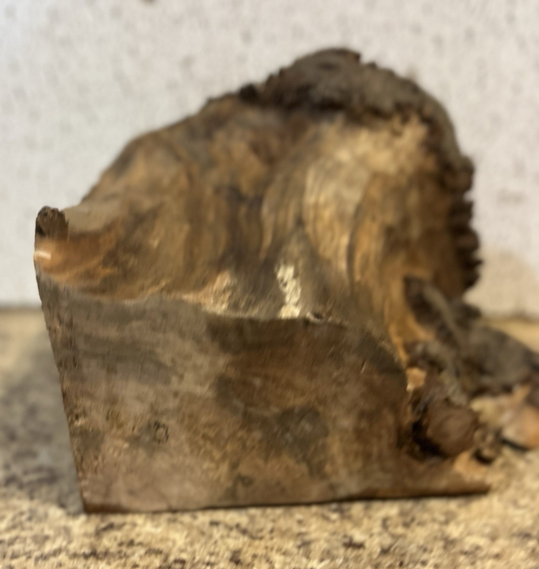 Live Edge Ambrosia Maple Wood Burl 13.5”x9”x8” Great for Bowl Turming