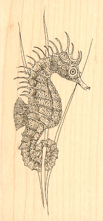 Ocean Seahorse Wood Mounted Rubber Stamp IMPRESSION OBSESSION D1325 New