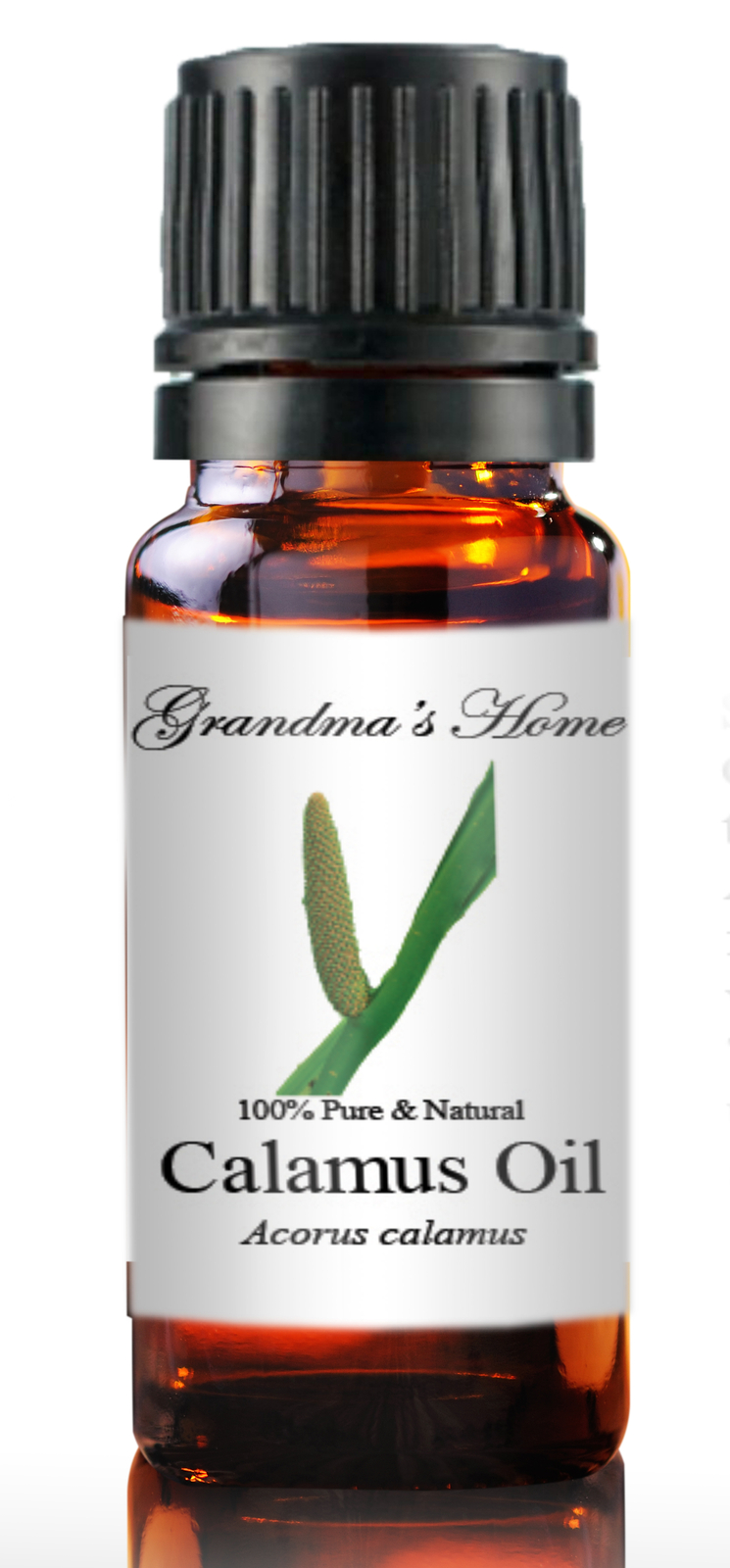 Calamus Essential Oil 5 mL – 100% Pure – Therapeutic Grade – Grandma’s Home