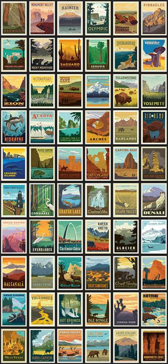 23.5″ X 44″ Panel National Parks USA Parks Travel Explorer Cotton Fabric D472.38