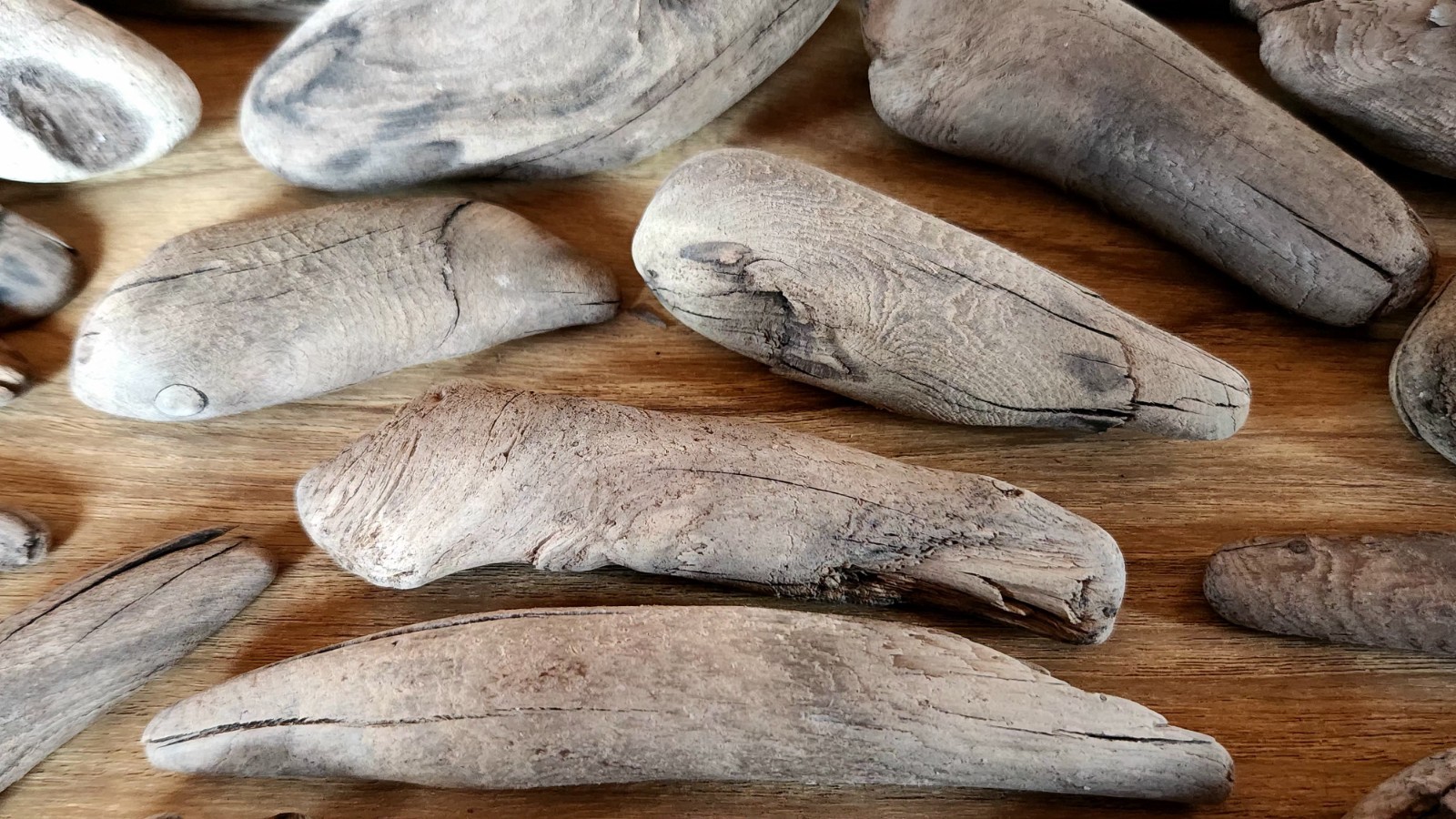 35 Small to Medium Beautiful Lake Superior Driftwood for Creative Projects