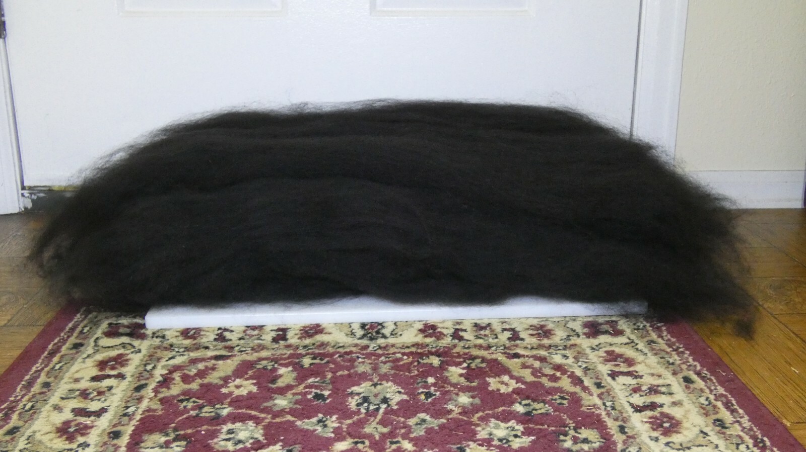 Huacaya Alpaca Fiber Fine Grade 3 Black Batt 8 oz 1/2 Lb Roving Spinning 9.5″!