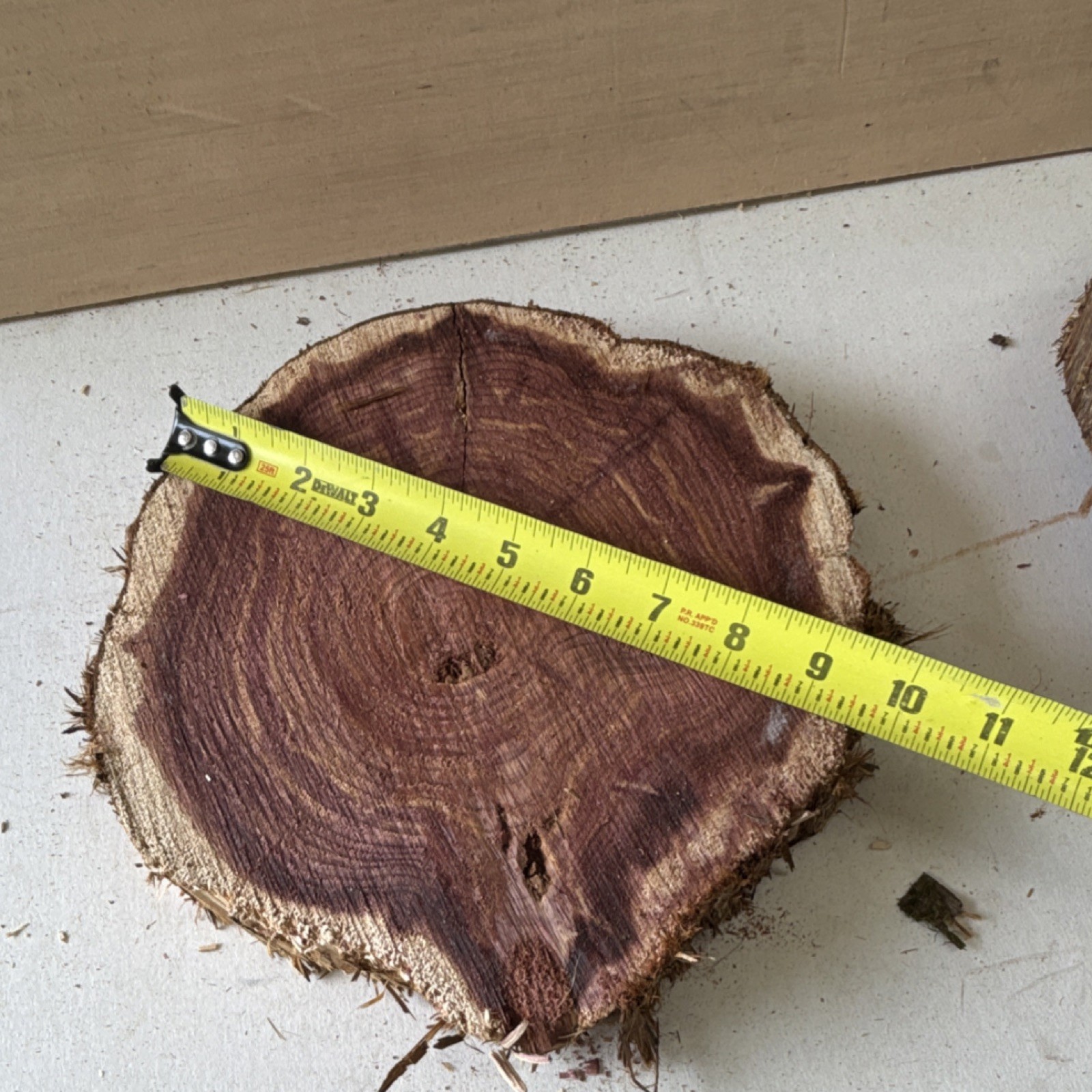 Cedar Live Edge Wood Slab Round 11″ Diameter x 4″ Thick Unfinished