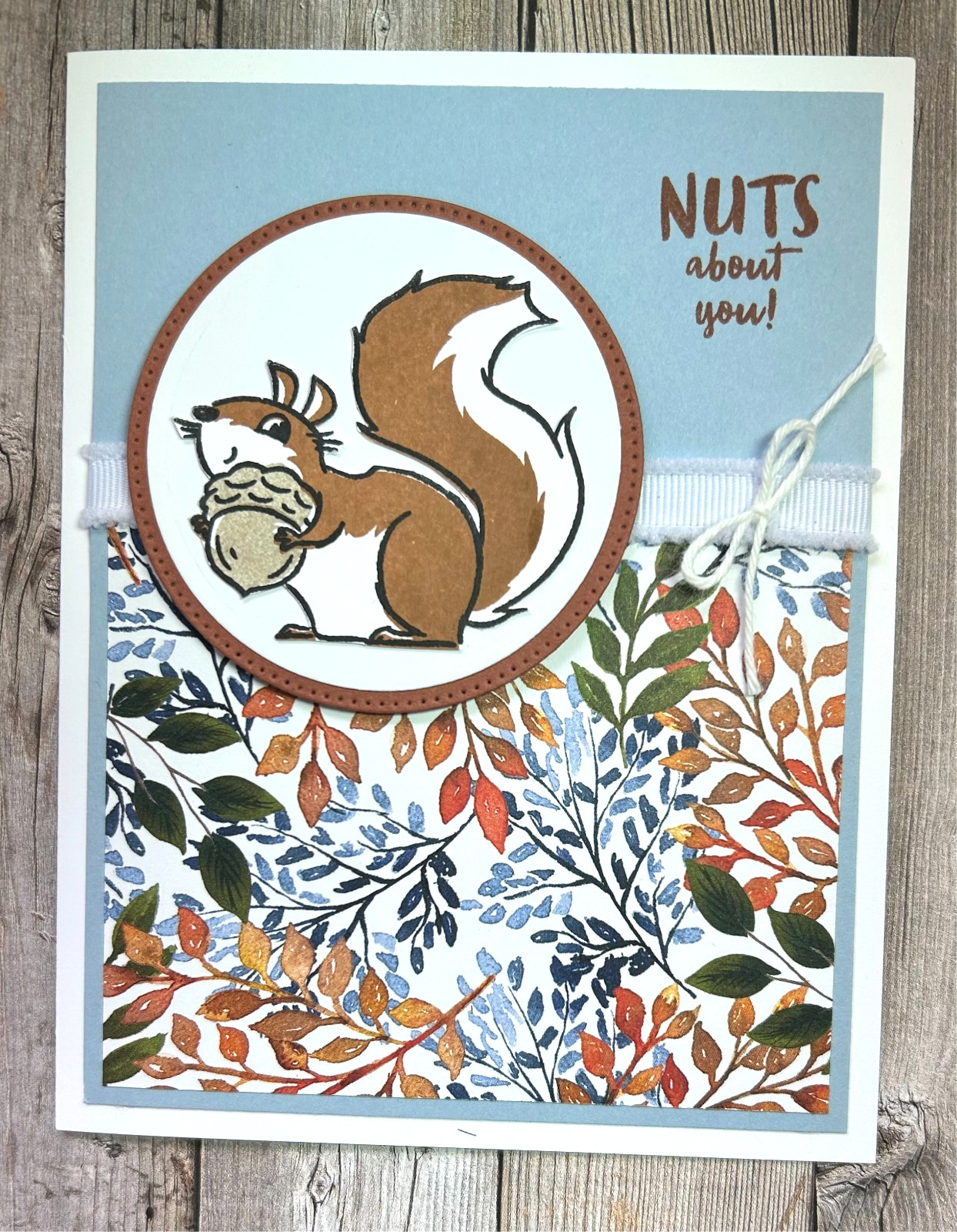Fall GREETING CARD KIT x4 +Env ~ Stampin Up Nuts About You Squirrel