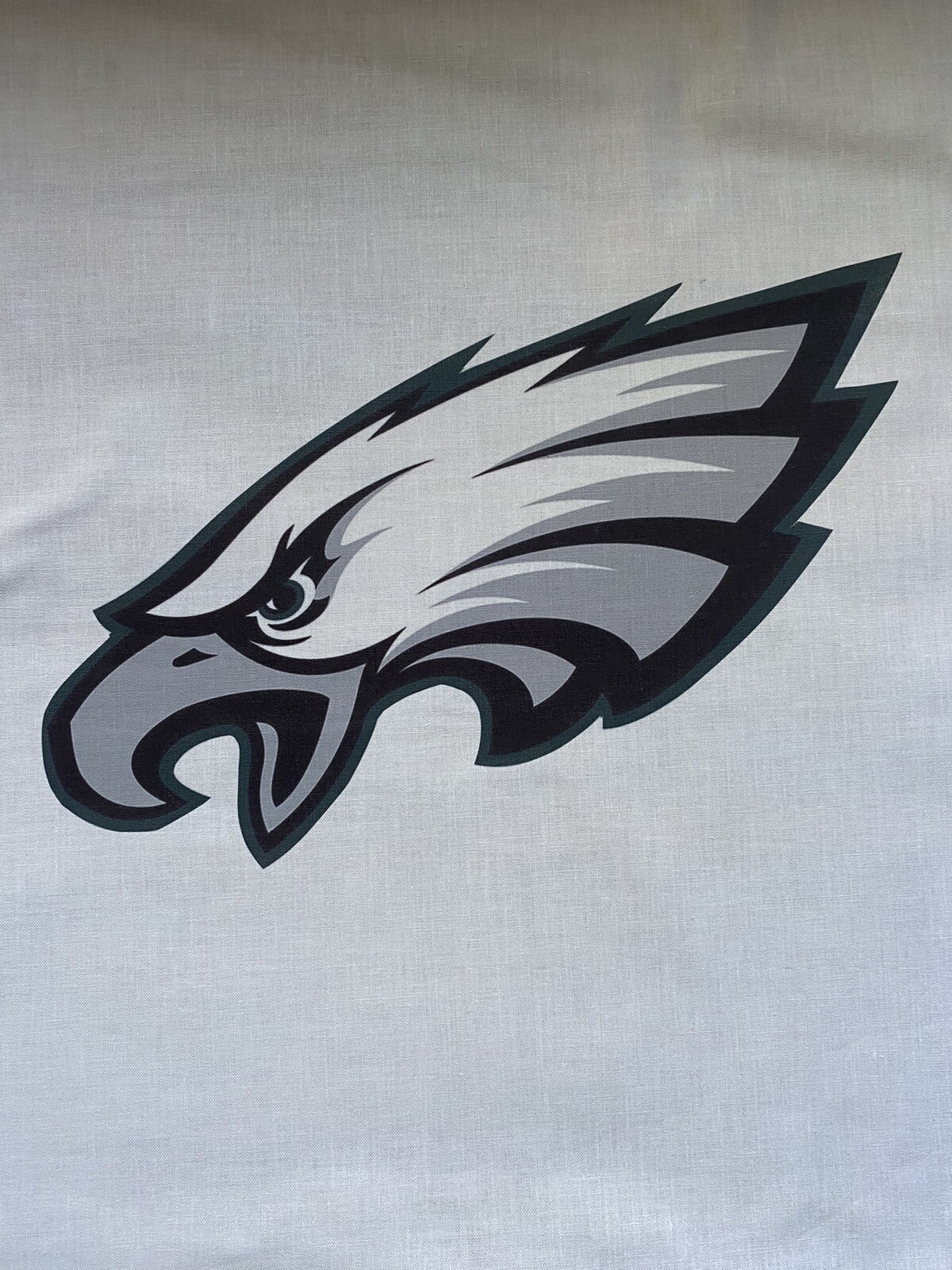 1 Philadelphia Eagles FOOTBALL LOGO ON 18X18 SEW BLOCK QUILT SQUARE Material #2