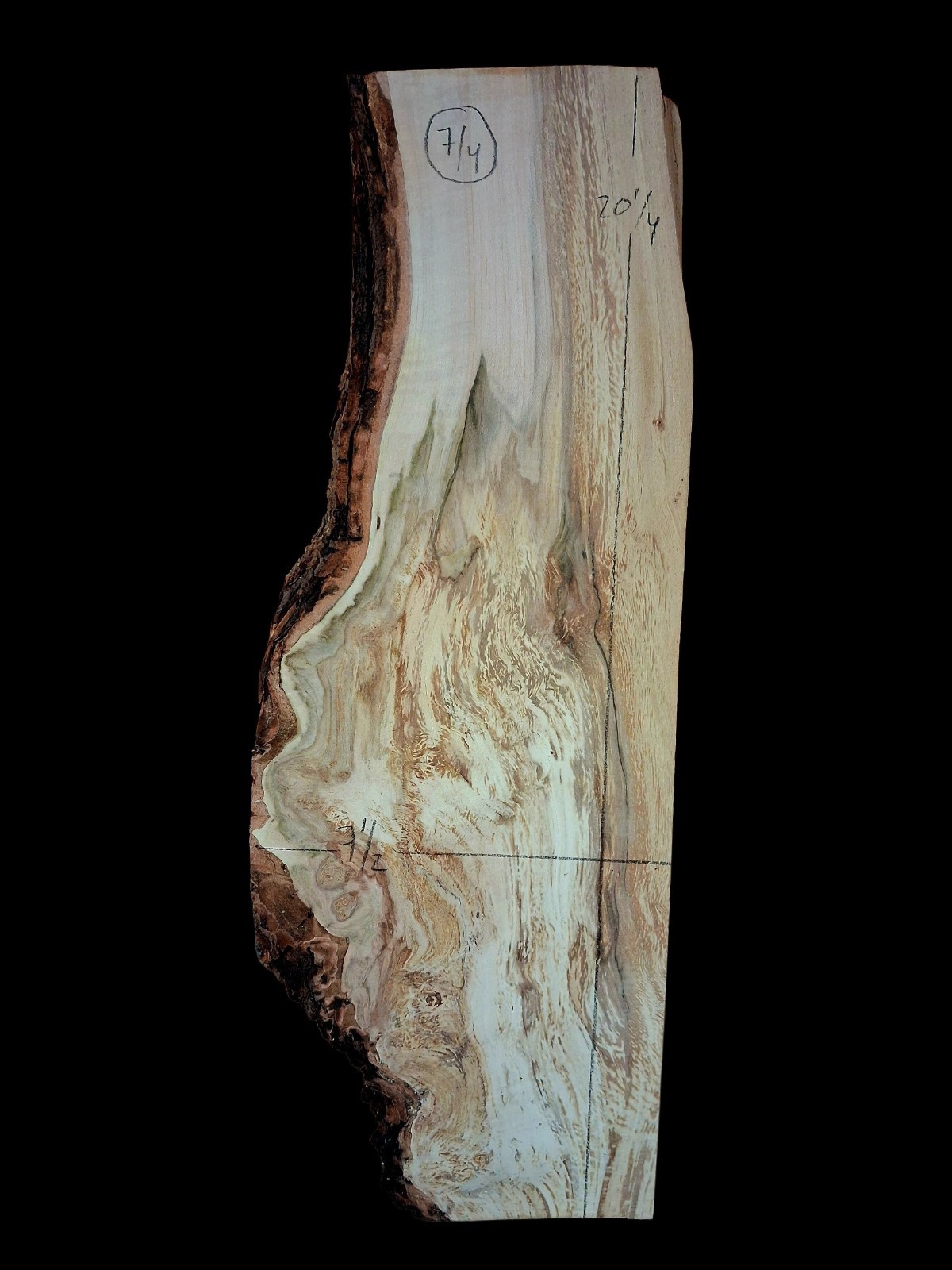 XL SPALTED AMBROSIA Maple Burl wood Slab EPOXY/STABILIZING Wood, Live Edge Maple