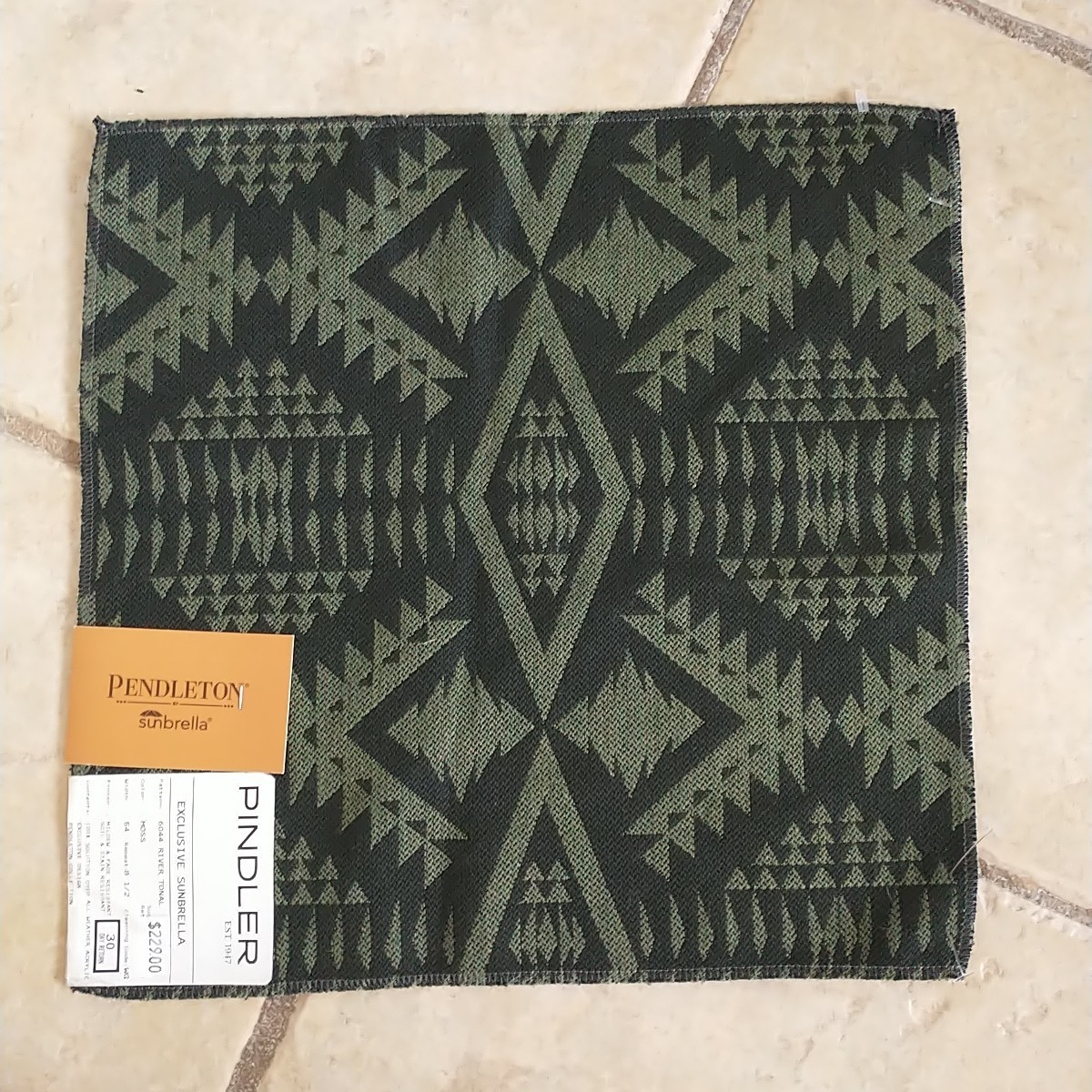 Pindler Pendleton Sunbrella Fabric Sample Square Black Green Geometric 13×13″