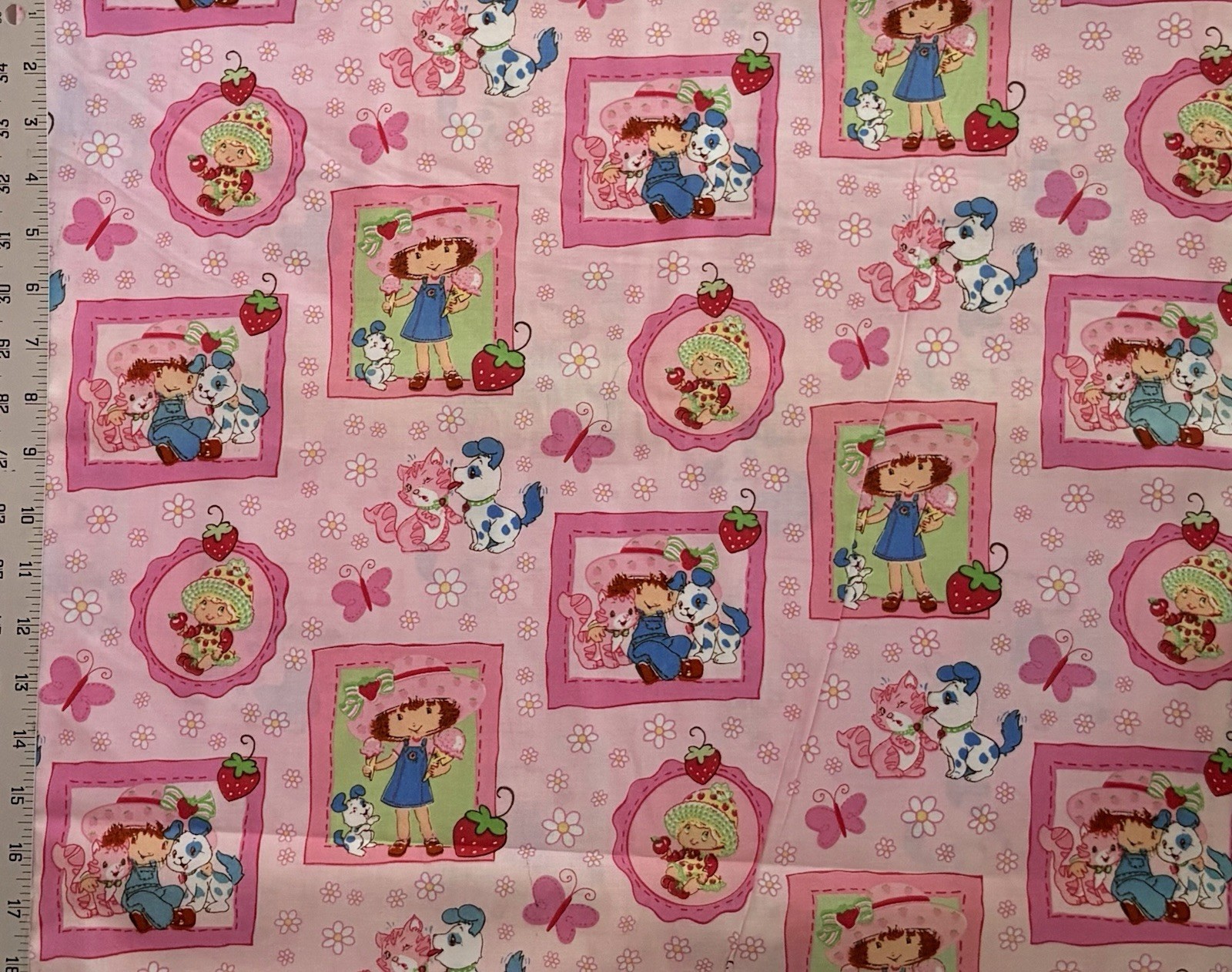 VINTAGE 2003 Strawberry Shortcake Portrait Cotton Fabric – BTFQ: 18″ x 22″