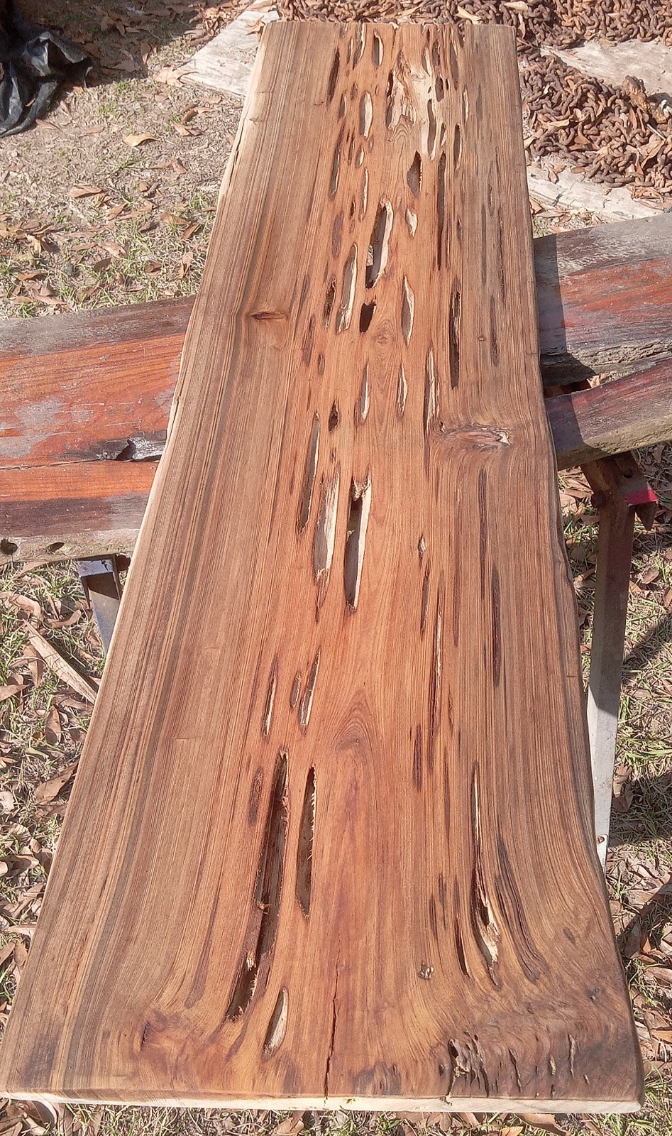 Papa Noël Special 52″ Long Tight Grain Rare Pecky Sinker Cypress Wood QuiteDense