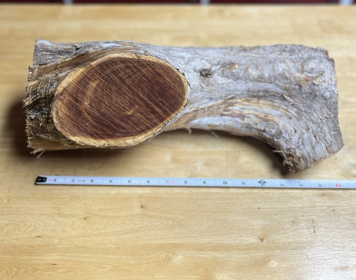 Red Cedar Live edge Wood- Bowl Turning Wood-Live Edge Limb Crotch Wood