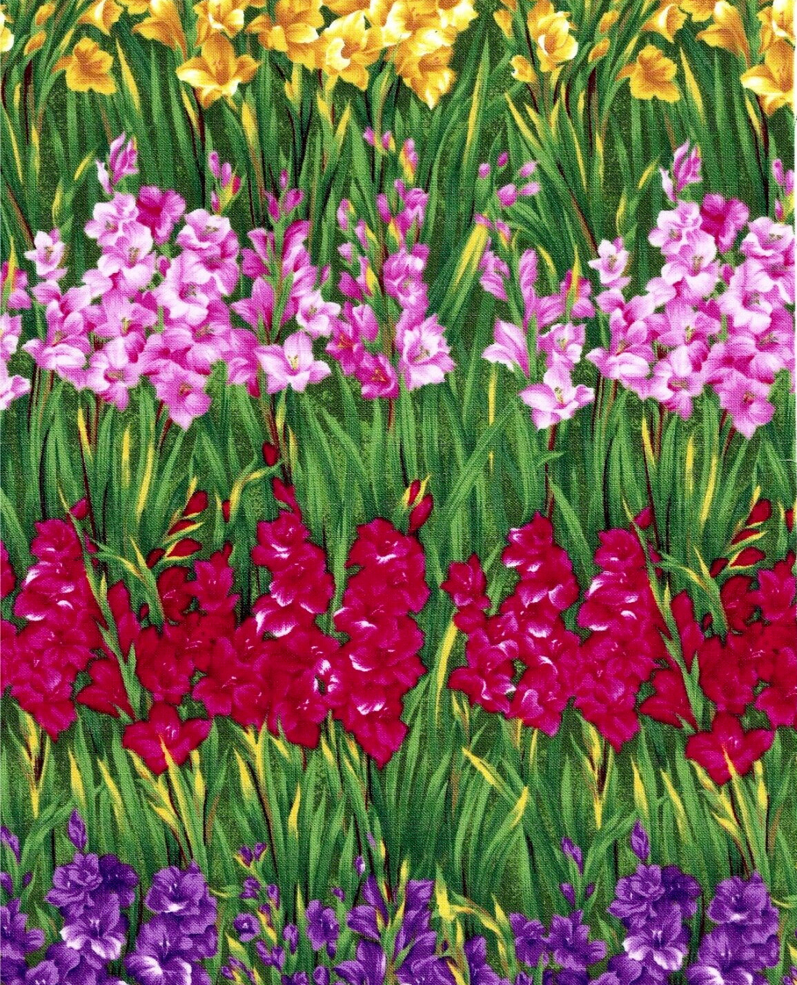 Flower of the Month August Gladiolus Stripes Northcott Fabric By the FQ – 1/4 YD
