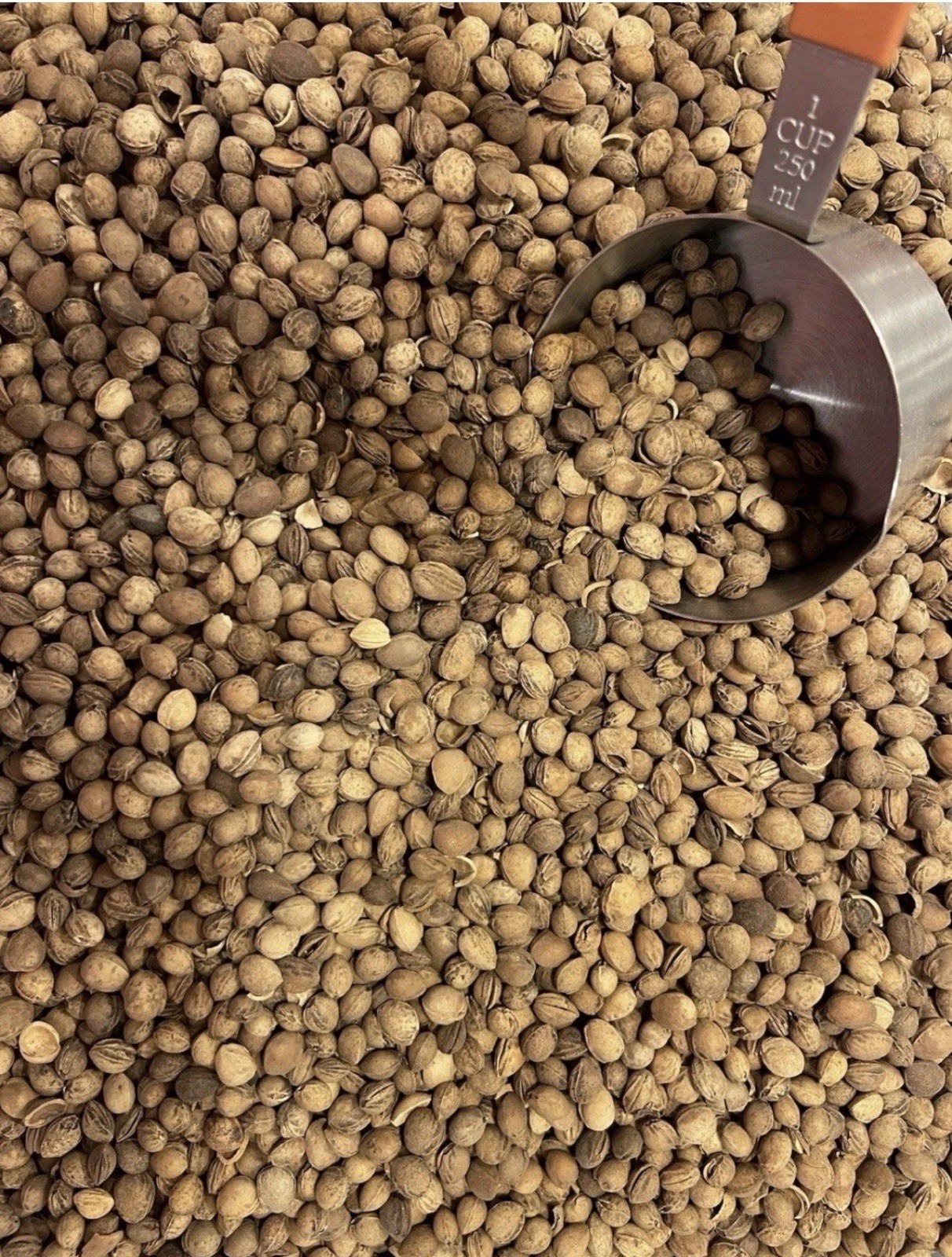 Bulk Dried Cherry Pits 10 Pounds