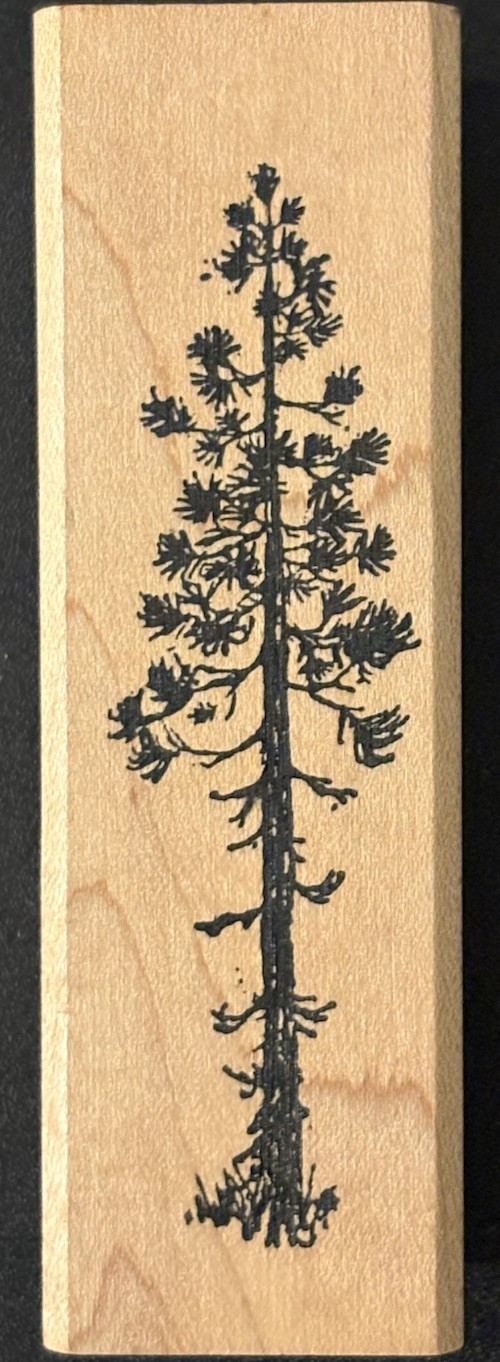 Visions Of Ink Pine Or Fir Tall Tree Rubber Stamp