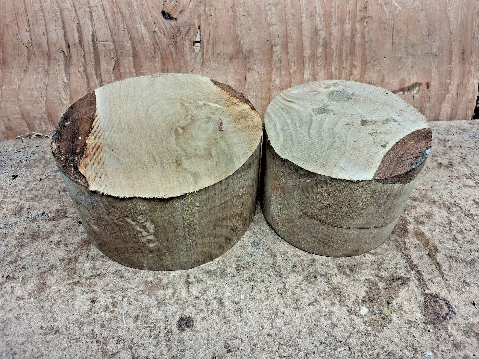 Maple Wood Turning Bowl Blanks Deep 2 pc