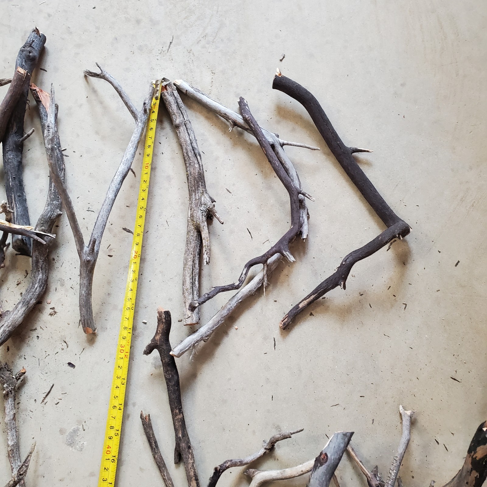36 assorted thin seasoned Manzanita branches box #3