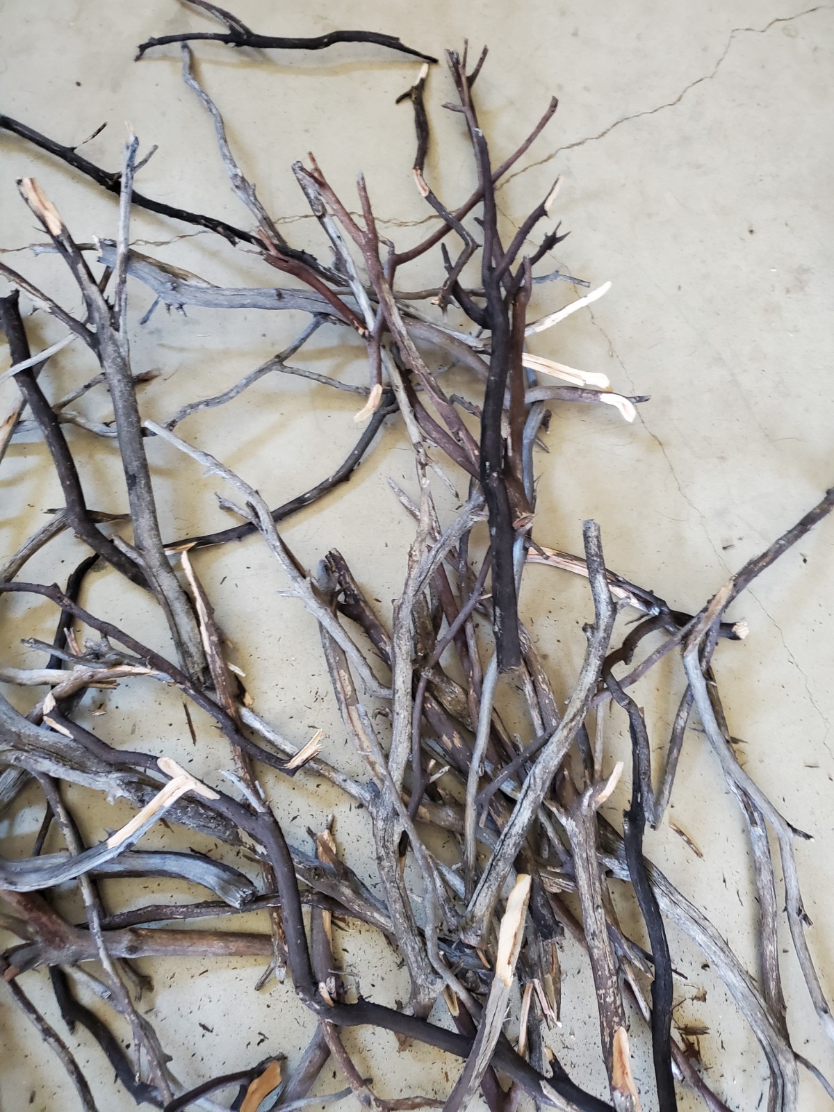 100 assorted thin seasoned Manzanita branches box #1