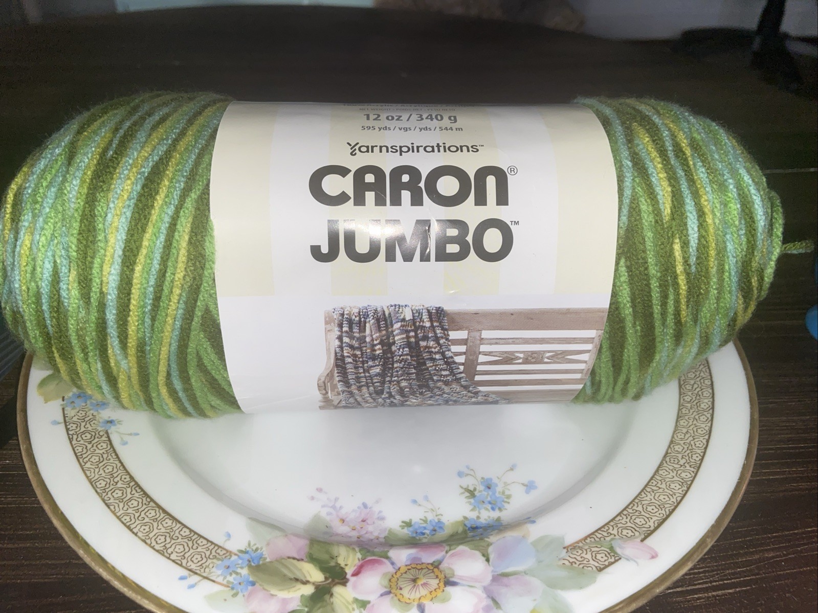 Caron Jumbo Folliage Green Variated Yarn Skein Lot # 2023-02-32, 595 Yds. 12 oz.